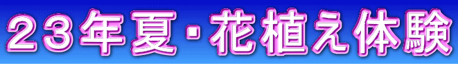 ２３年夏・花上体験