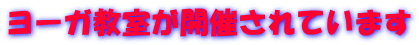 ヨーガ教室が開催されています