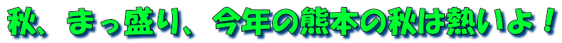 秋、まっ盛り、今年の熊本の秋は熱いよ！