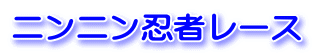 ニンニン忍者レース