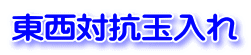 東西対抗玉入れ