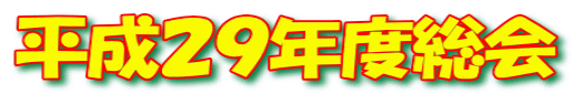 平成２９年度総会