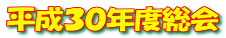 平成３０年度総会