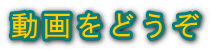 動画をどうぞ 