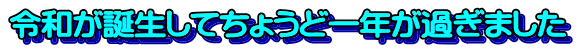 令和が誕生してちょうど一年が過ぎました