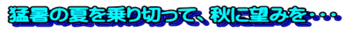 猛暑の夏を乗り切って、秋に望みを・・・