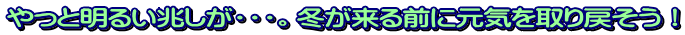 やっと明るい兆しが・・・。冬が来る前に元気を取り戻そう！