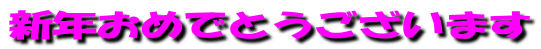 新年おめでとうございます